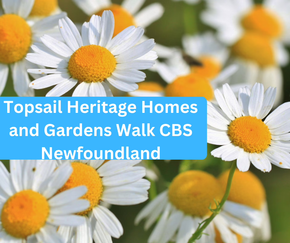 Topsail Heritage Homes and Gardens Walk CBS Newfoundland